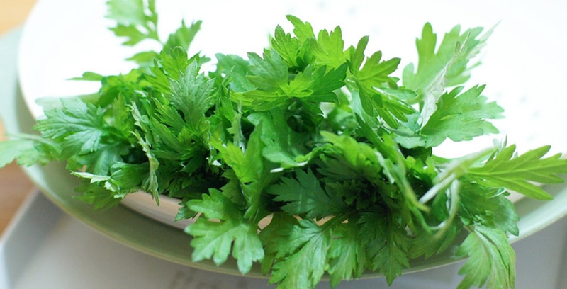 Những bài thuốc chữa đau bụng kinh bằng đông y hiệu quả mà bạn không ngờ tới 2