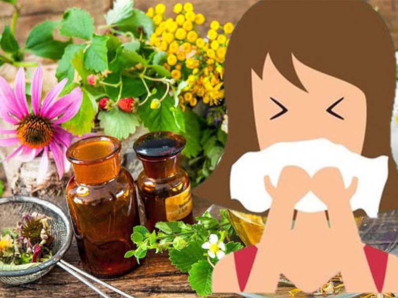 Những bài thuốc dân gian chữa viêm xoang mãn tính 2