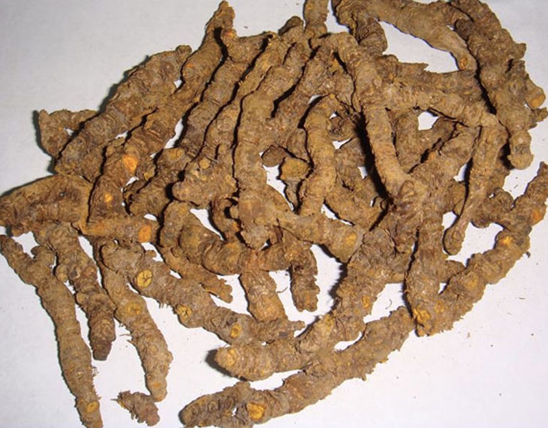 Những bài thuốc Đông y chữa phì đại tiền liệt tuyến mà bạn nên biết 3