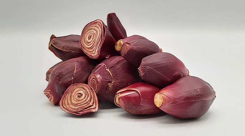 Những bài thuốc nam trị bệnh vảy nến hiệu quả 1