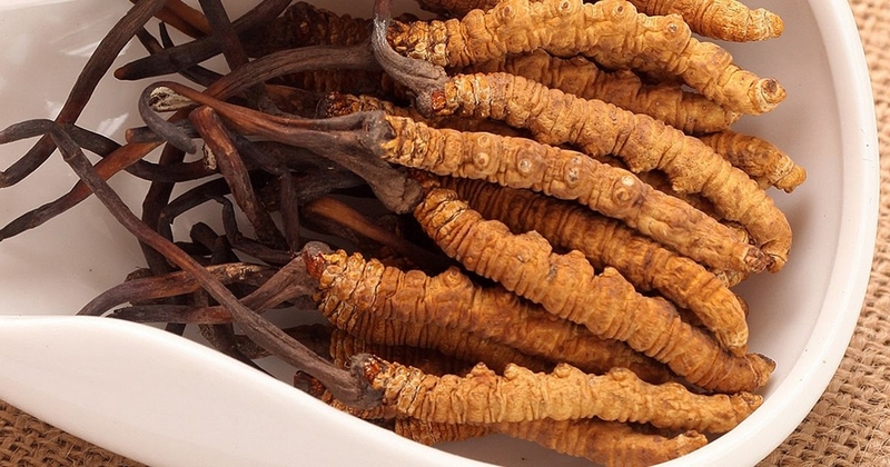 Những bài thuốc quý trong dân gian - Bạn đã biết chưa? 2