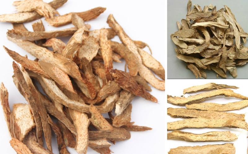 Những bài thuốc xông mũi trị viêm mũi dị ứng 4