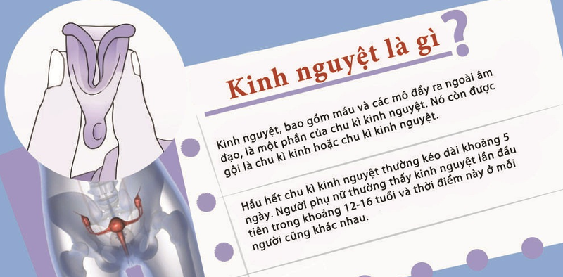Những bệnh về kinh nguyệt không đều thường gặp