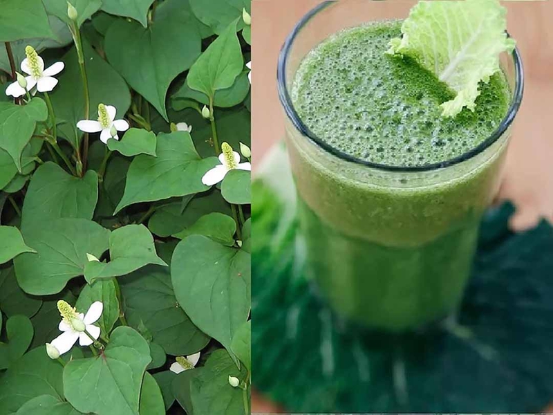 Chữa bệnh trĩ bằng phương pháp dân gian có hiệu quả? Có những cách chữa trị trĩ bằng phương pháp dân gian nào?