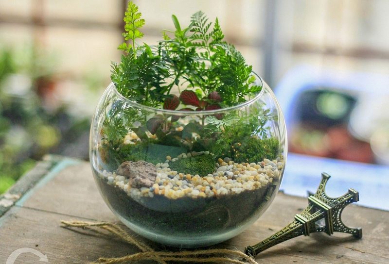 Những cách đơn giản, dễ thực hiện giúp giảm độ cận thị ngay tại nhà 2