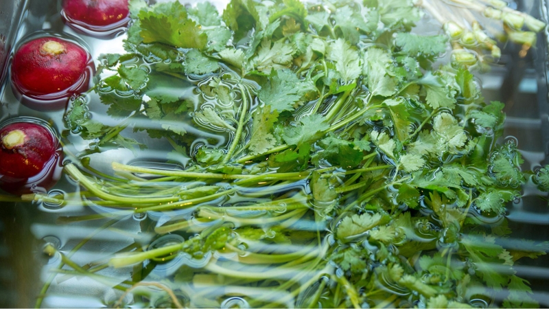 Ngâm rau trong nước muối quá lâu có thể khiến rau bị héo và giảm độ tươi