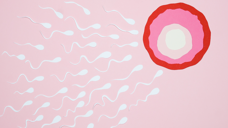 Những cách quan hệ để có thai hiệu quả 1