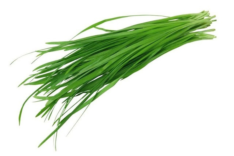 Những cây thuốc nam chữa đau dây thần kinh liên sườn 2