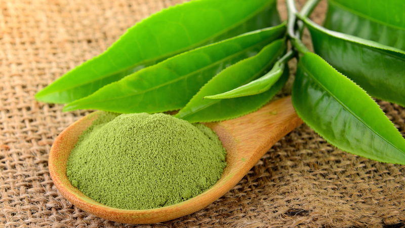 Chiết xuất trà xanh chứa nhiều hợp chất polyphenol và tannin có đặc tính chống oxy hóa