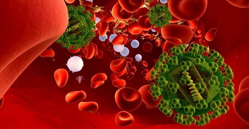 Những con đường lây nhiễm HIV? Virus HIV sống được bao lâu ngoài môi trường cơ thể? 2