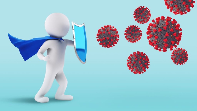 Những công dụng bất ngờ của nấm notaky cho sức khỏe hằng ngày 2