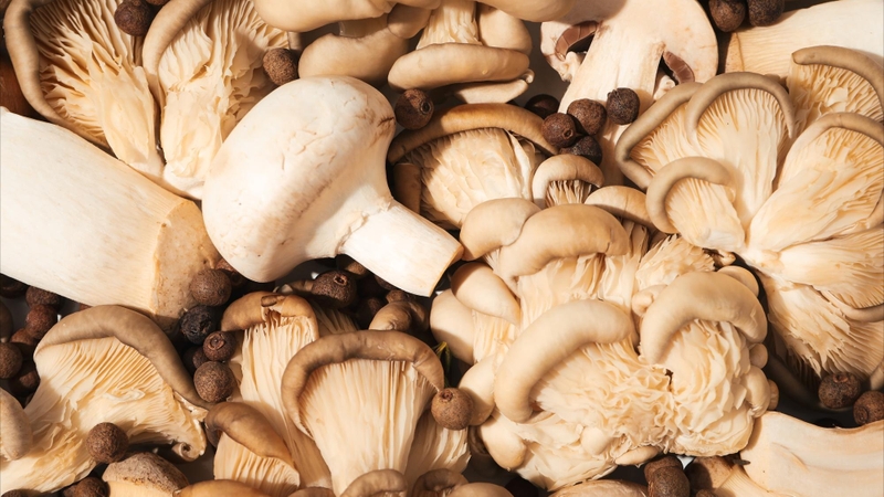 Những công dụng bất ngờ của nấm notaky cho sức khỏe hằng ngày 4