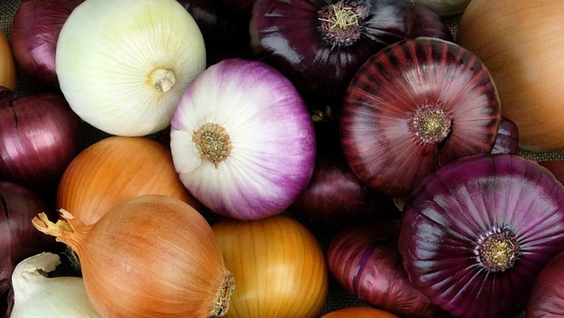 Những công dụng bất ngờ của vỏ hành tây - Cách sử dụng vỏ hành tây trong đời sống 4