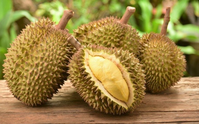 Những công dụng tuyệt vời của “vua trái cây” tại Đông Nam Á 3