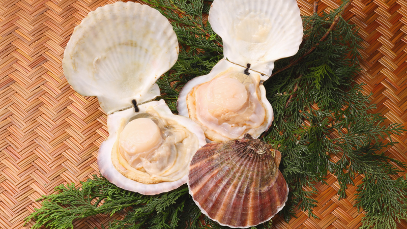 nhung-cong-dung-tuyet-voi-tu-so-diep (3).png