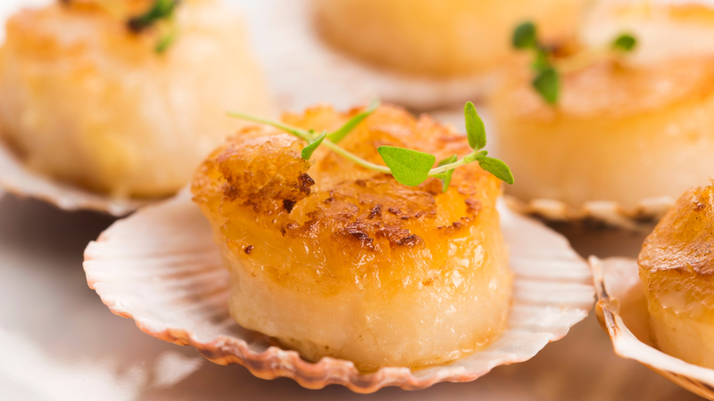 nhung-cong-dung-tuyet-voi-tu-so-diep (4).png