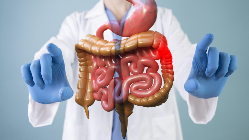 nhung-dau-hieu-bat-thuong-cho-thay-duong-ruot-cua-ban-dang-gap-van-de 1