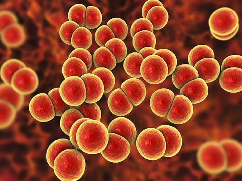 Những dấu hiệu bệnh lậu ở nam giới và nữ giới giúp nhận biết bệnh sớm, điều trị kịp thời 1