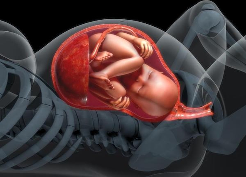 Những dấu hiệu của việc mẹ bị đa ối trong khi mang thai 1