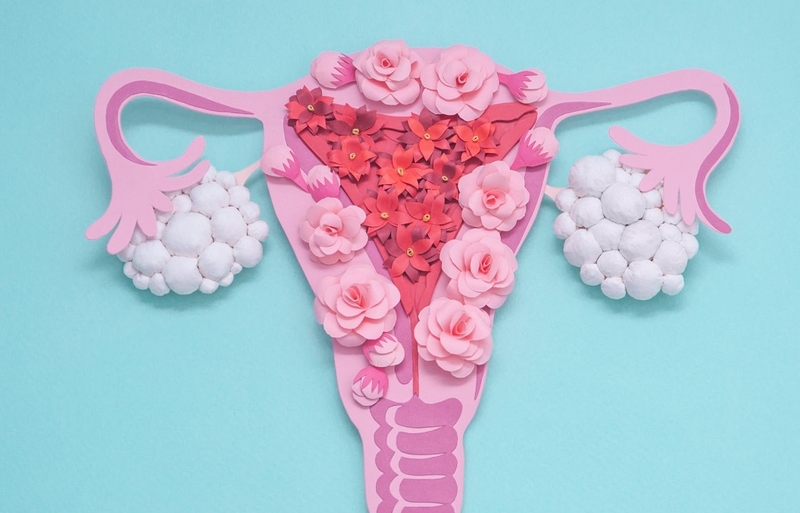 Những dấu hiệu đa nang buồng trứng phổ biến nhất mà chị em cần biết 4