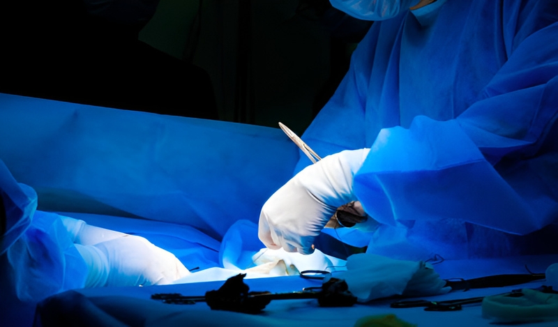 Những điểm quan trọng trong giải phẫu thừng tinh mà bạn cần biết 4