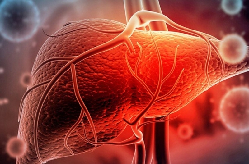 Những điều bạn cần biết về xét nghiệm đo hoạt độ GGT Gama Glutamyl transferase máu 3