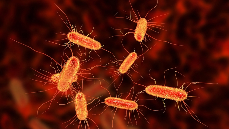 Những điều cần biết về bệnh tiêu chảy cấp tính 2