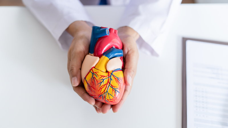 Những điều cần biết về cá hồi Sockeye - Thành phần dinh dưỡng có trong cá hồi Sockeye 3