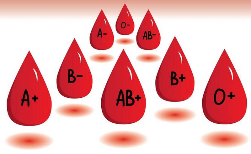 Máu là một phần quan trọng của cơ thể