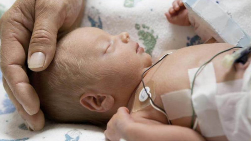 Những điều cần biết về chế độ ăn kiêng i ốt 3