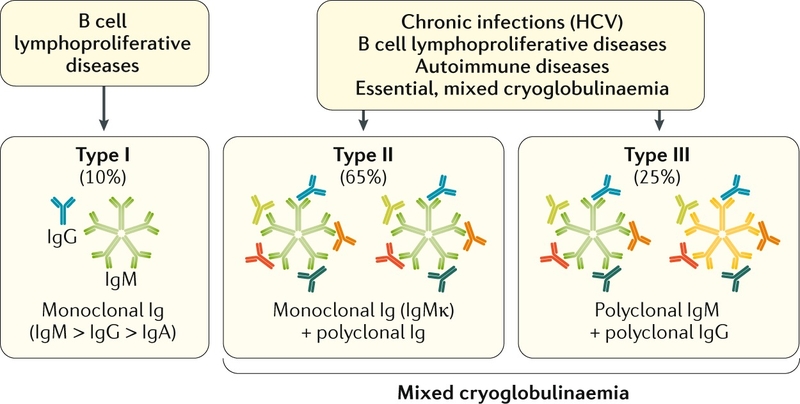 Những điều cần biết về Cryoglobulinemia 1