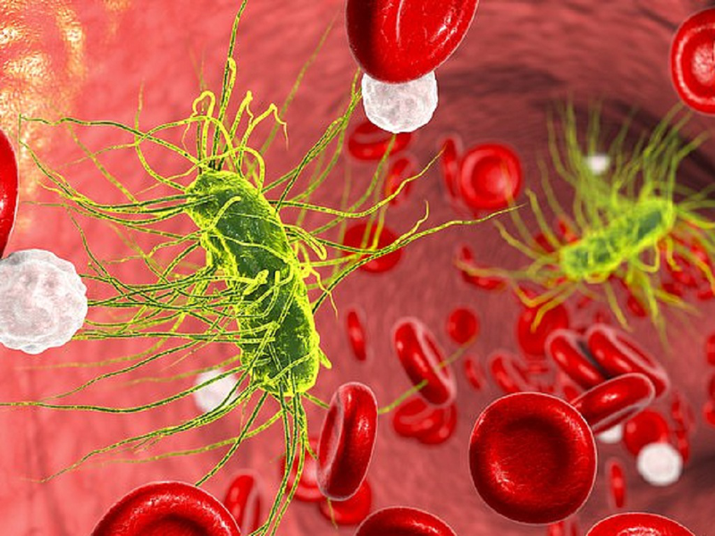 Những điều cần biết về IGRA test: Xét nghiệm hỗ trợ chẩn đoán lao tiềm ẩn 1