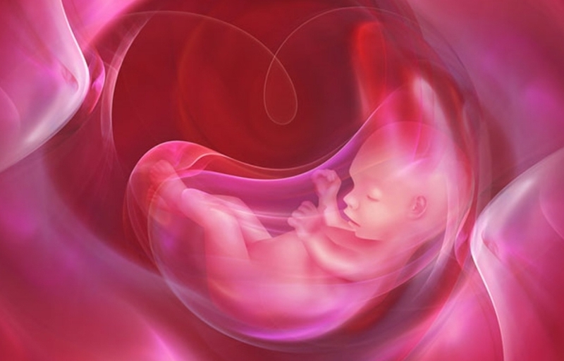 Những điều cần biết về phương pháp đo AFI và ý nghĩa của chỉ số nước ối AFI 4