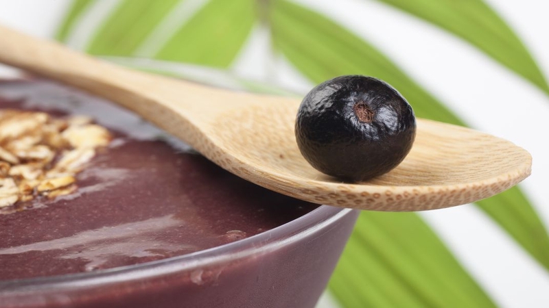 Những điều cần biết về quả Acai