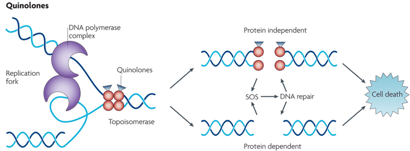 Những điều cần biết về thuốc nhỏ mắt kháng sinh 3
