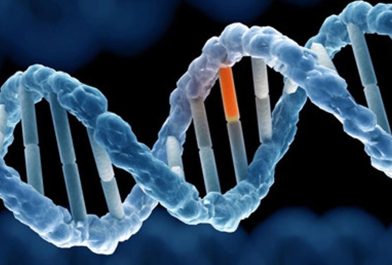 Những điều cần biết về tình trạng tăng thân nhiệt ác tính trong gây mê 2