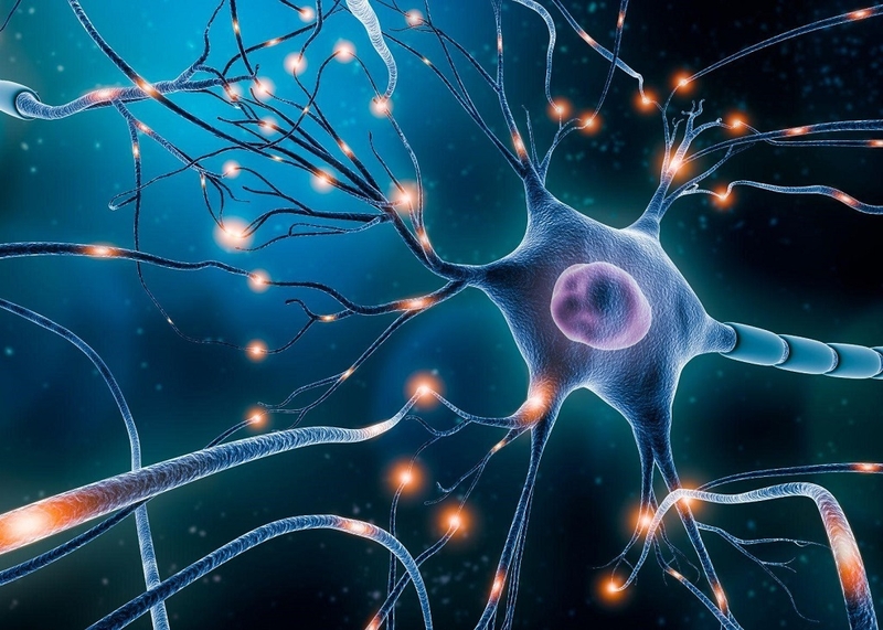 Những điều cần biết về tổn thương thần kinh sau ngừng tuần hoàn 1