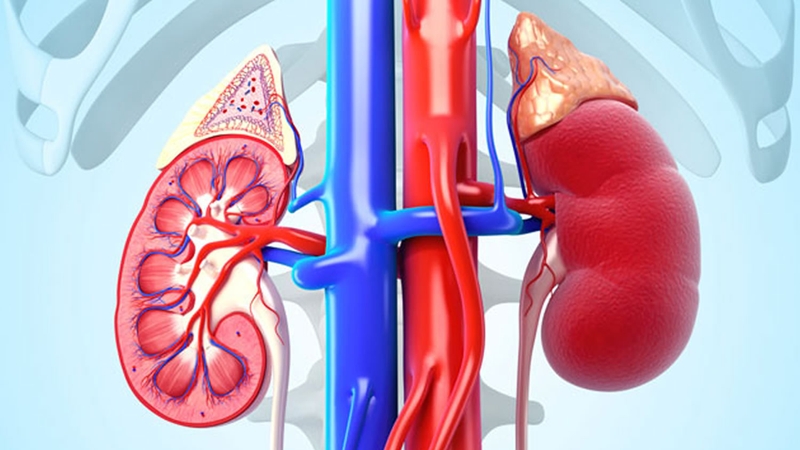 Những điều cần biết về viêm cầu thận cấp sau nhiễm liên cầu