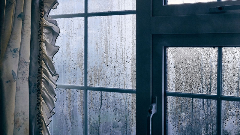 Ngày nồm không chỉ gây bất tiện mà còn ảnh hưởng đến sức khỏe và chất lượng không khí trong nhà