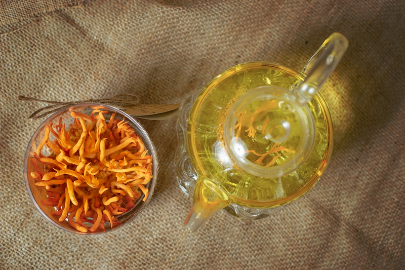 Những đối tượng nào nên và không nên uống nước Đông trùng Hạ thảo? 1