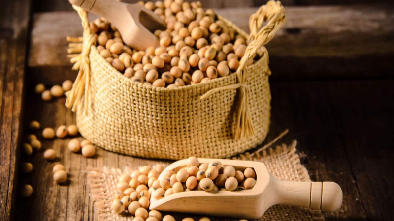 Những dưỡng chất có lợi trong hạt đậu nành 3