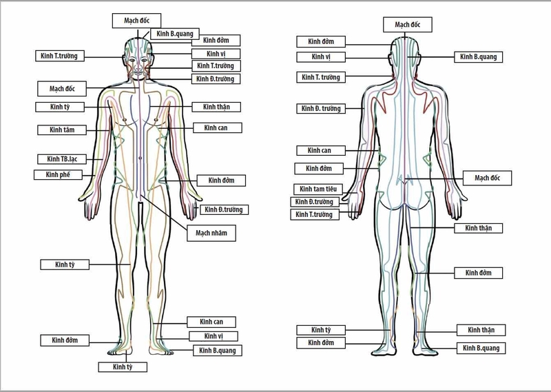 Những hiểu biết hữu ích về Huyệt Trung Phong 2