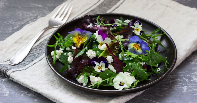 Những loại hoa không chỉ có thể ăn được mà còn rất tốt cho sức khỏe 1