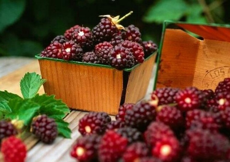 nhung-loai-nuoc-gi-chua-sat-va-canxi-nen-uong-thuong-xuyen