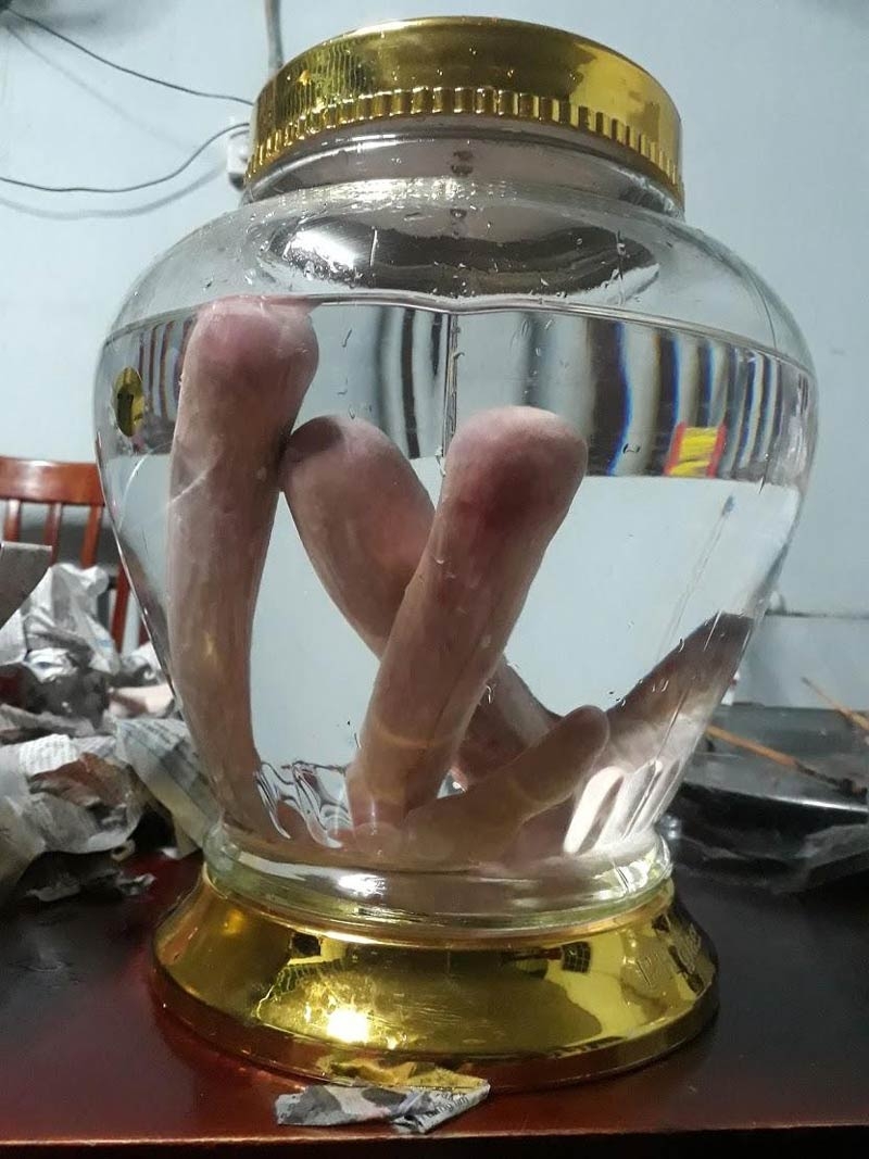 Những loại rượu thuốc thường dùng hiện nay 1