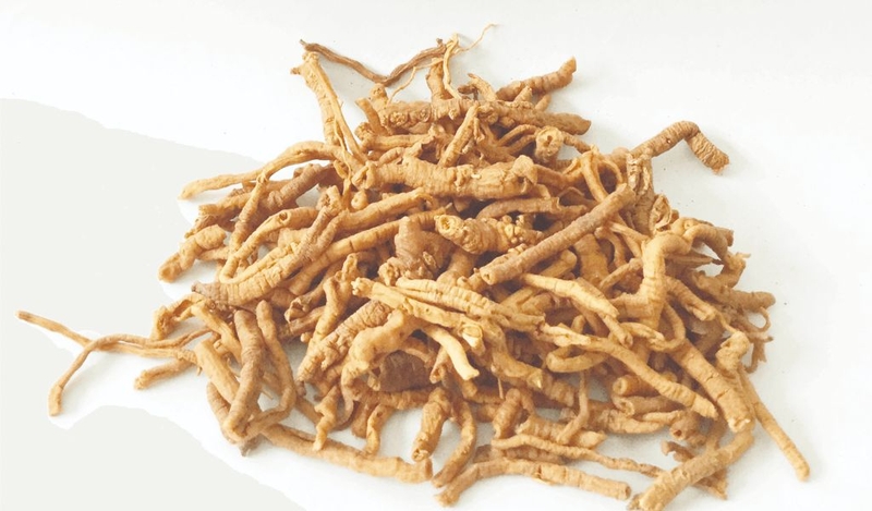 Những loại thảo dược trị mất ngủ lành tính và hiệu quả cao 2