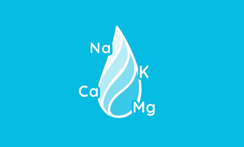 Những loại thực phẩm chứa nhiều natri3