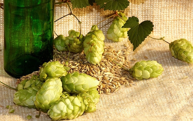 Những loại trà tốt cho giấc ngủ của bạn 2