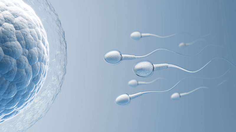 Chế độ ăn uống có ảnh hưởng trực tiếp đến sức khỏe tổng thể và chức năng sinh lý ở nam giới