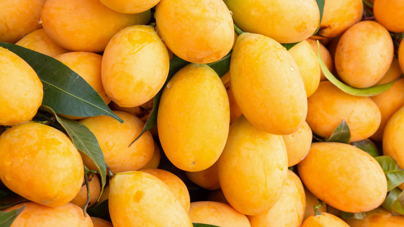 Xoài có thể góp phần cải thiện chất lượng tinh trùng